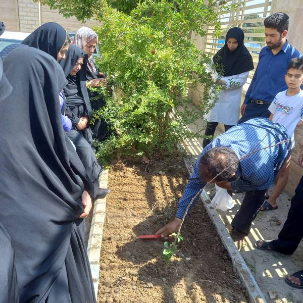 برگزاری سومین جلسه آموزشی سبزی کاری برای رابطین سلامت شبکه بهداشت و درمان اسلامشهر 